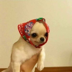 Meet your Posher, Alejandra